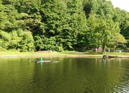 エキスパートエリアで大物狩り ～平谷湖フィッシングスポット～